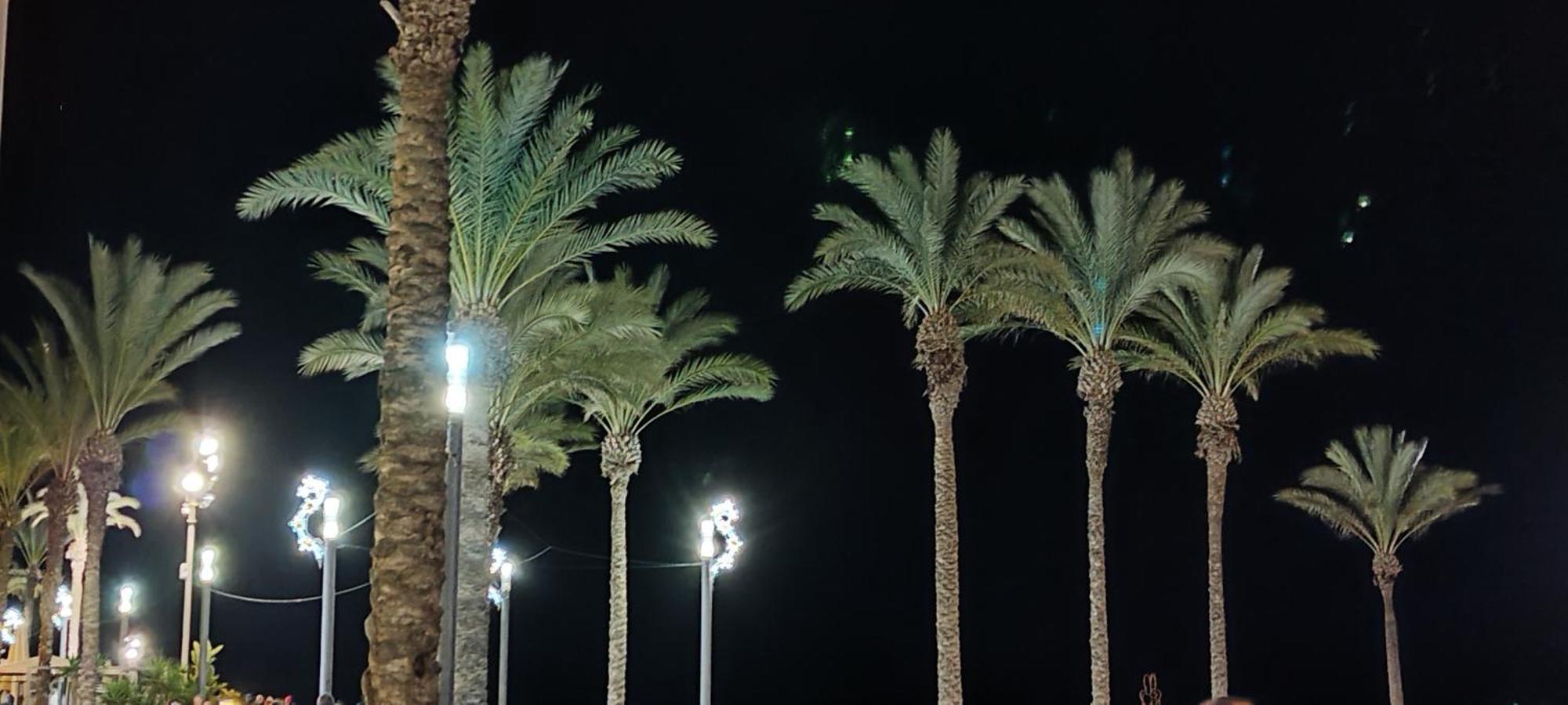 Seaview Playa Del Cura 50M Torrevieja Citycentre Apartment Dış mekan fotoğraf