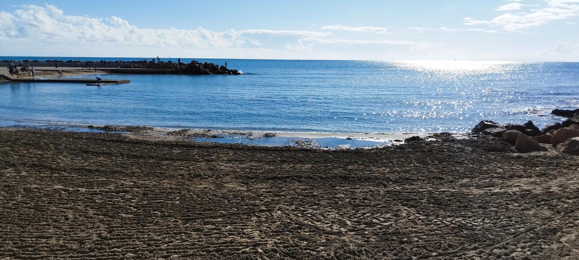 Seaview Playa Del Cura 50M Torrevieja Citycentre Apartment Dış mekan fotoğraf