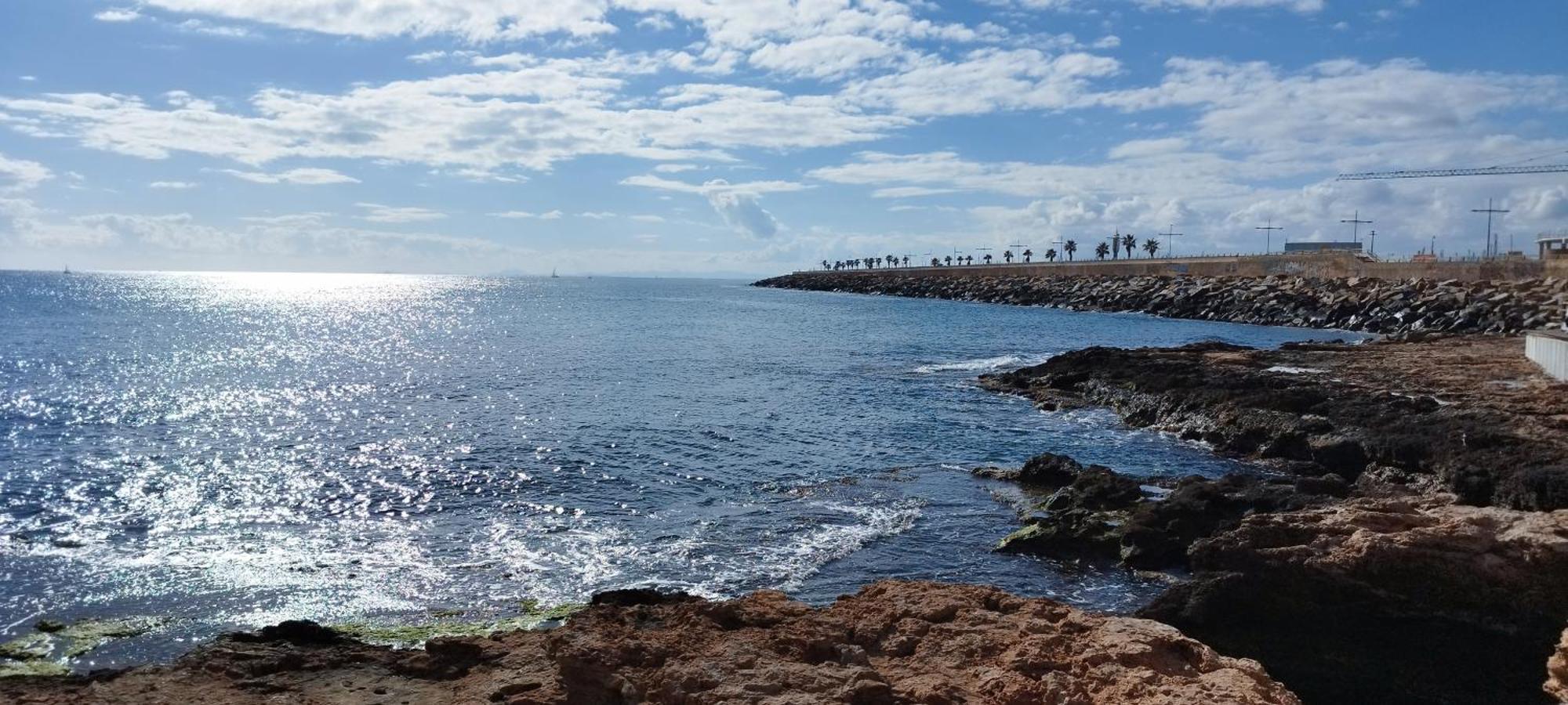 Seaview Playa Del Cura 50M Torrevieja Citycentre Apartment Dış mekan fotoğraf